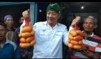 IMG_20241009_184302