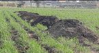 IMG_20241019_202406