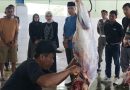 Walikota Kediri Tinjau RPH Kelurahan Pojok, Untuk Pastikan Hewan Kurban Disembelih Aman Dikonsumsi