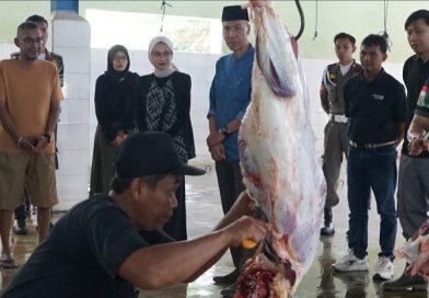 Walikota Kediri Tinjau RPH Kelurahan Pojok, Untuk Pastikan Hewan Kurban Disembelih Aman Dikonsumsi