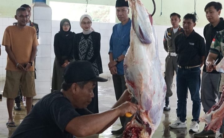 Walikota Kediri Tinjau RPH Kelurahan Pojok, Untuk Pastikan Hewan Kurban Disembelih Aman Dikonsumsi